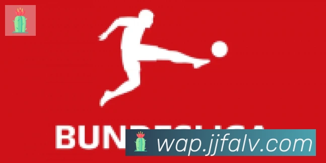 九游j9官方网站合作伙伴